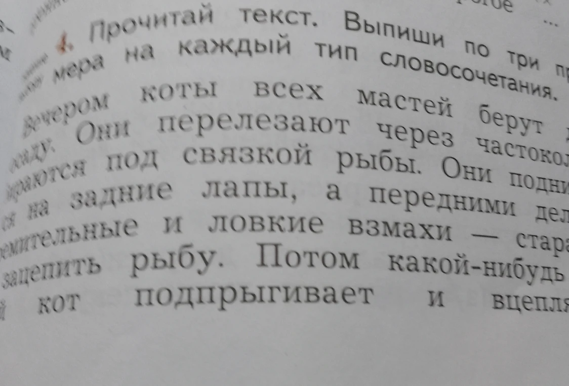 Прочитай текст. Выпиши по три примера на каждый тип словосочетания.