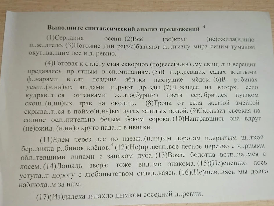 Выполните синтаксический анализ предложений.