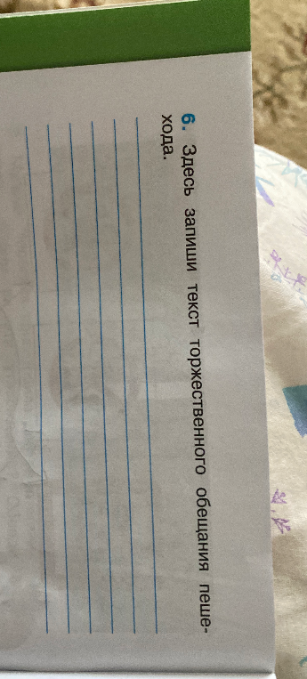 Здесь запиши текст торжественного обещания пешехода.