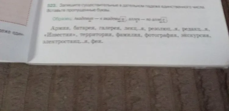 Запишите существительные в дательном падеже единственного числа. Вставьте пропущенные буквы.