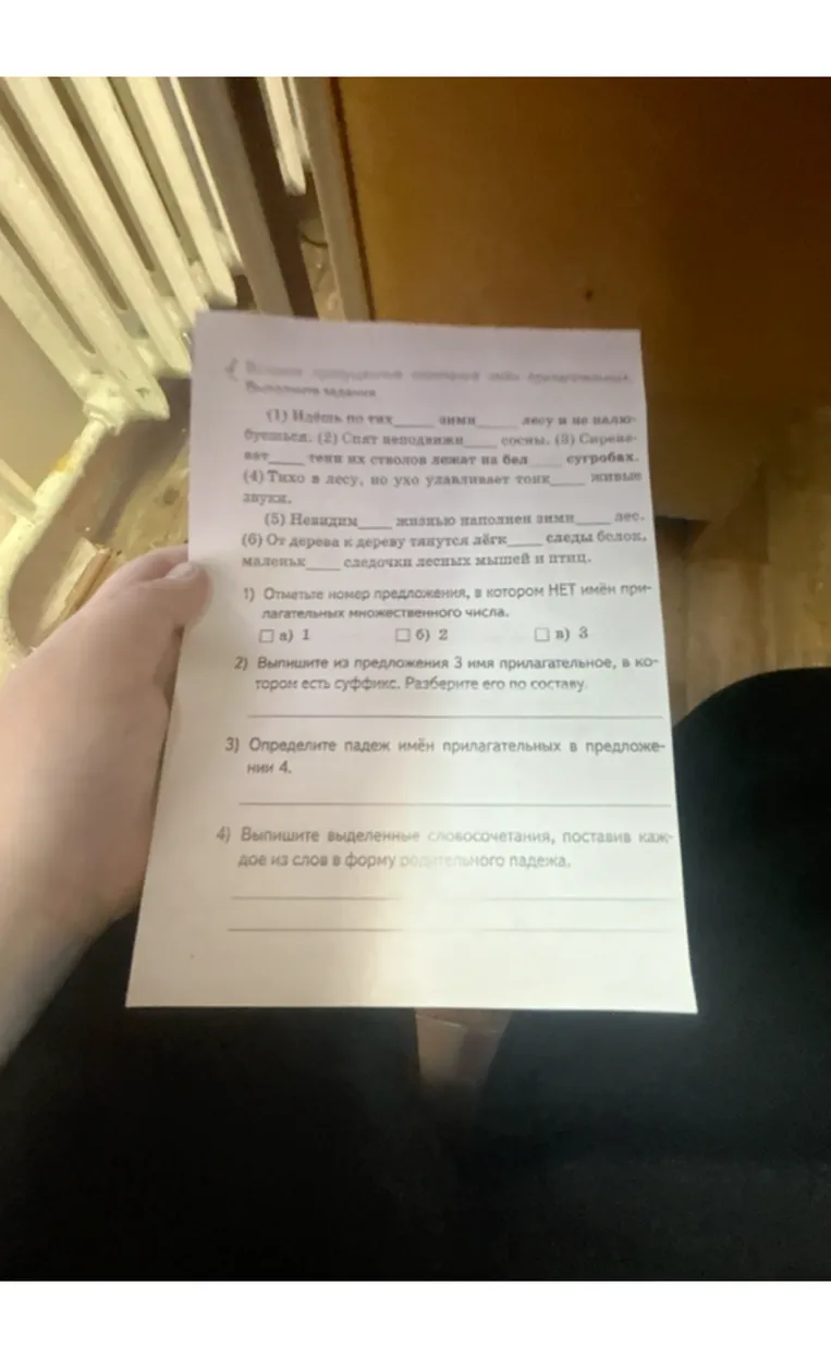 Вставьте пропущенные окончания имён прилагательных. Выполните задания к тексту.