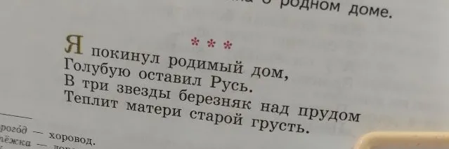 Анализ стихотворения С. А. Есенина «Я покинул родимый дом...»