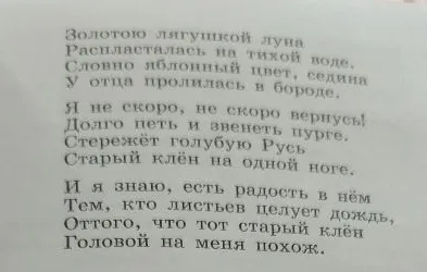 Анализ стихотворения С. А. Есенина «Я покинул родимый дом...»