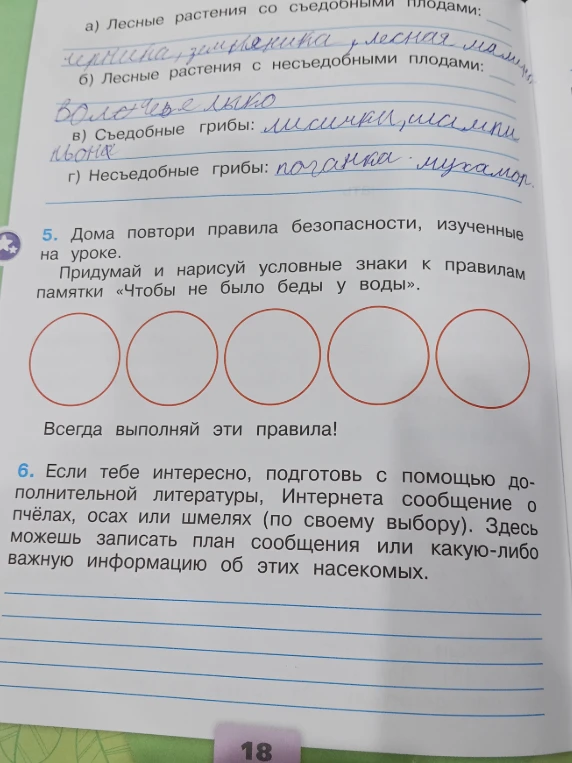Придумай и нарисуй условные знаки к правилам памятки «Чтобы не было беды у воды». Подготовь сообщение о пчёлах, осах или шмелях.