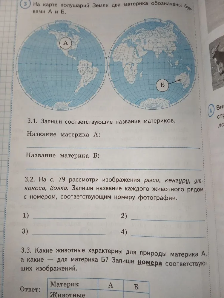 На карте полушарий Земли два материка обозначены буквами А и Б. Запиши соответствующие названия материков.