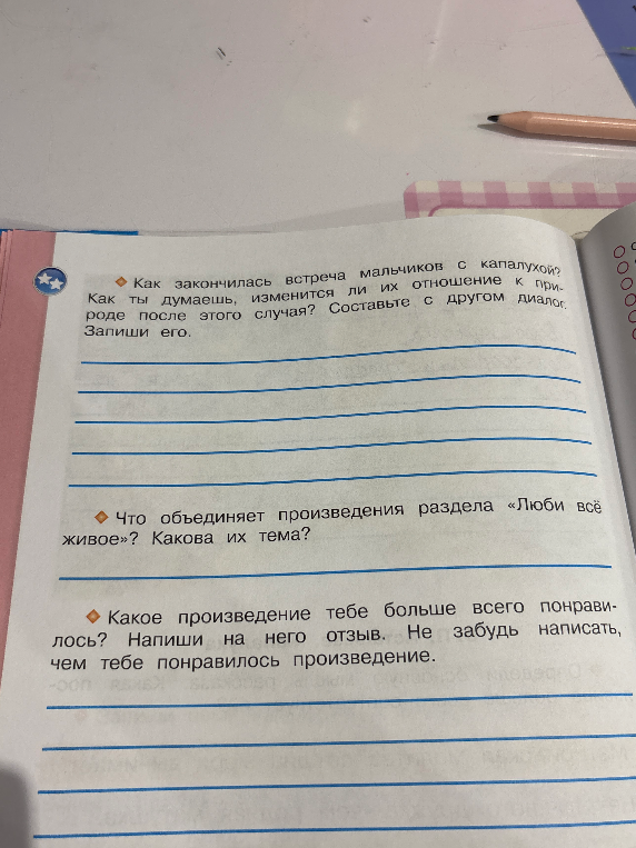 Как закончилась встреча мальчиков с капалухой? Как ты думаешь, изменится ли их отношение к природе после этого случая? Составьте с другом диалог. Запиши его.