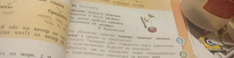 Прочитайте. Что обозначают омонимы пеночка, овсянка в каждом из предложений? Спишите. Определите падеж существительных.