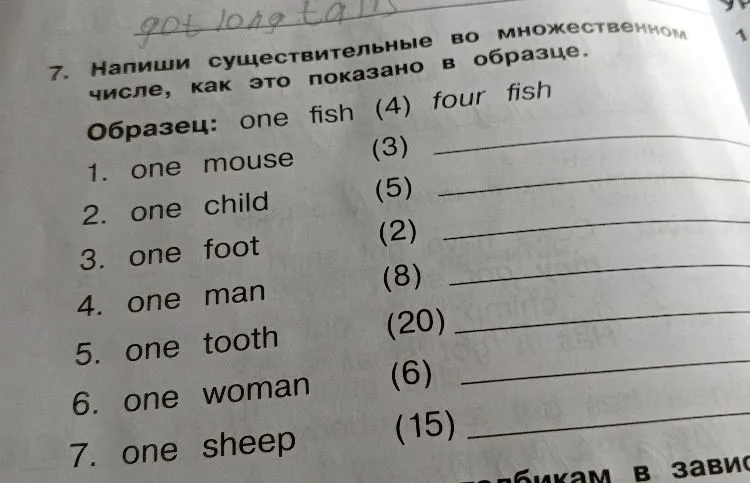 Напиши существительные во множественном числе, как это показано в образце: one fish (4) four fish