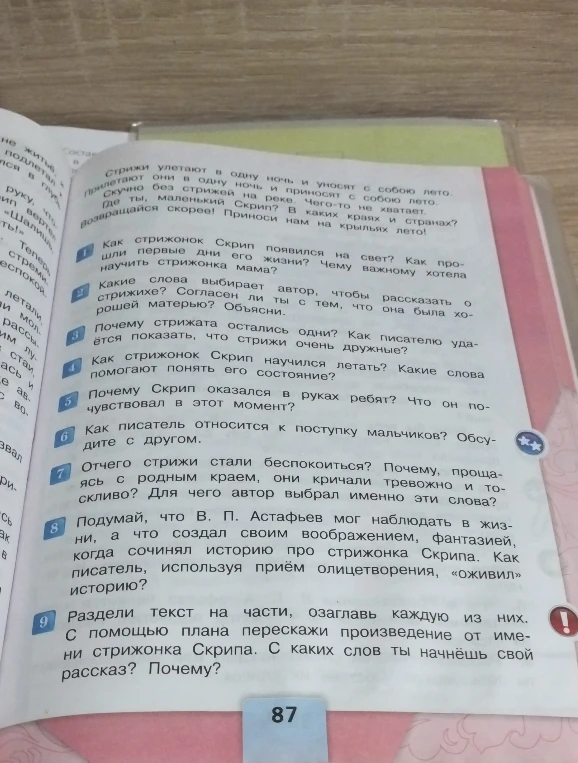 Ответьте на вопросы по рассказу В. П. Астафьева «Стрижонок Скрип»