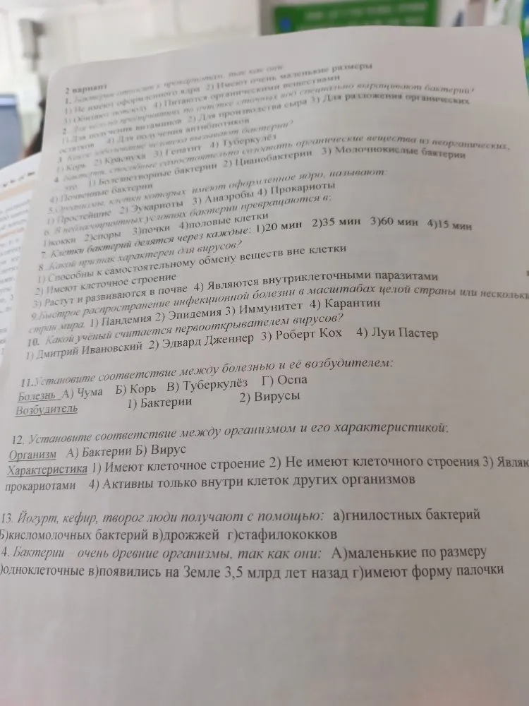 Выполните задания теста по теме 'Бактерии и Вирусы' (вариант 2), включая выбор одного ответа и установление соответствия.