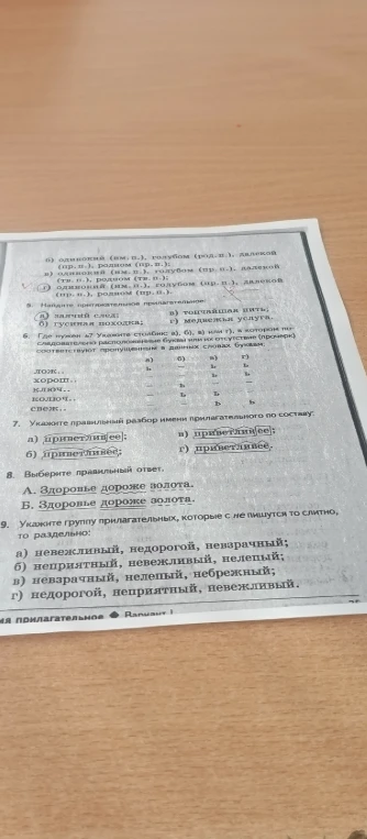 Выполните задания 5-9 по теме 'Имя прилагательное'
