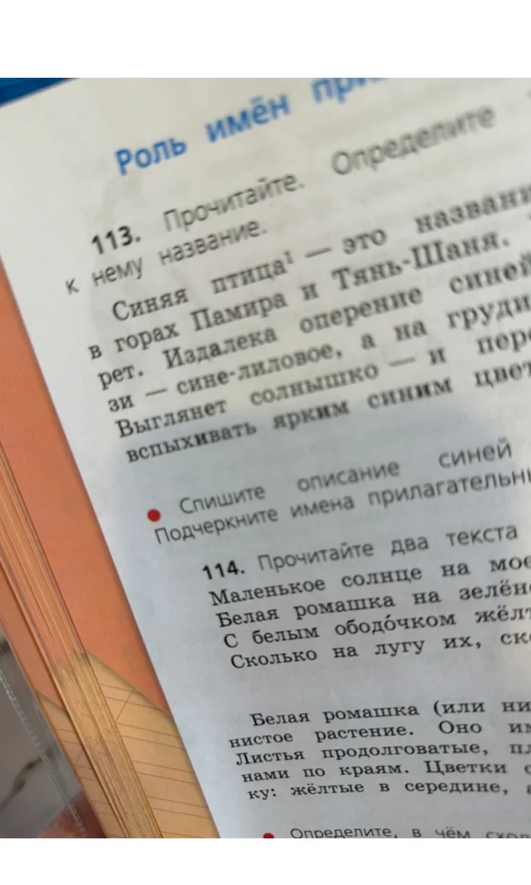 Разбери слово птица звукобуквенный разбор