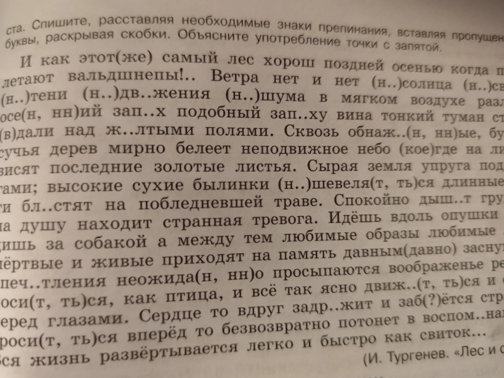 Спишите, расставляя необходимые знаки препинания, вставляя пропущенные буквы, раскрывая скобки. Объясните употребление точки с запятой.