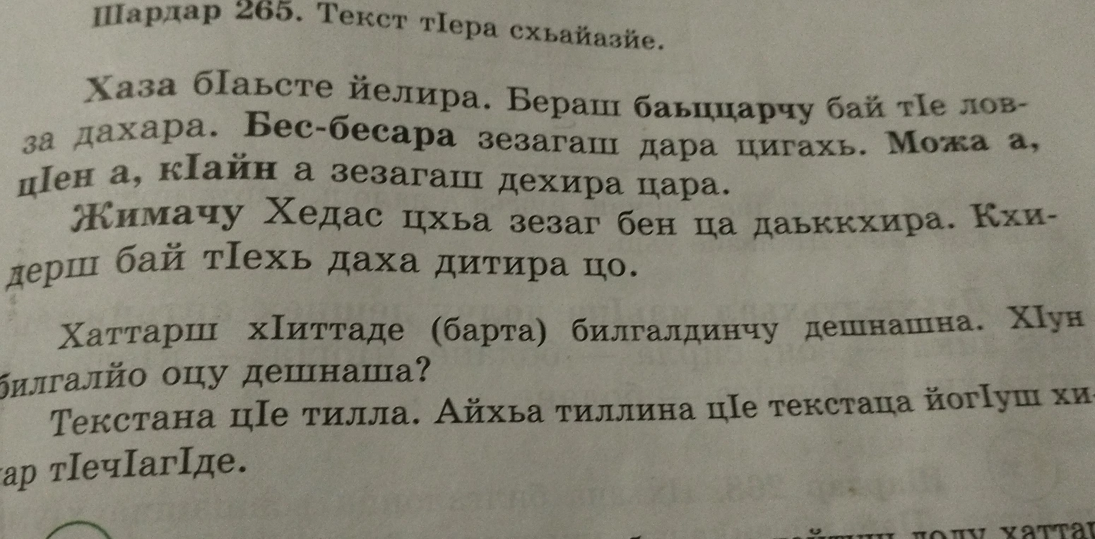 Шардар 265. Текст тIера схьаязъе. Хаза бIаьсте йелира...