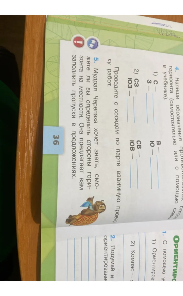 Напиши обозначения противоположных сторон горизонта