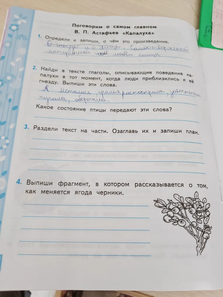 Раздели текст В. П. Астафьева «Капалуха» на части. Озаглавь их и запиши план. Выпиши фрагмент, в котором рассказывается о том, как меняется ягода черники.