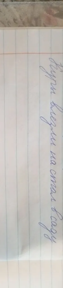 синтаксический разбор предложения: Куры влезли на стол в саду