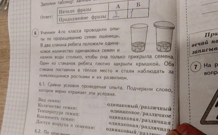 Ученики 4-го класса проводили опыты по проращиванию семян пшеницы. Сравни условия проведения опыта. Подчеркни слово, которое верно отражает эти условия.