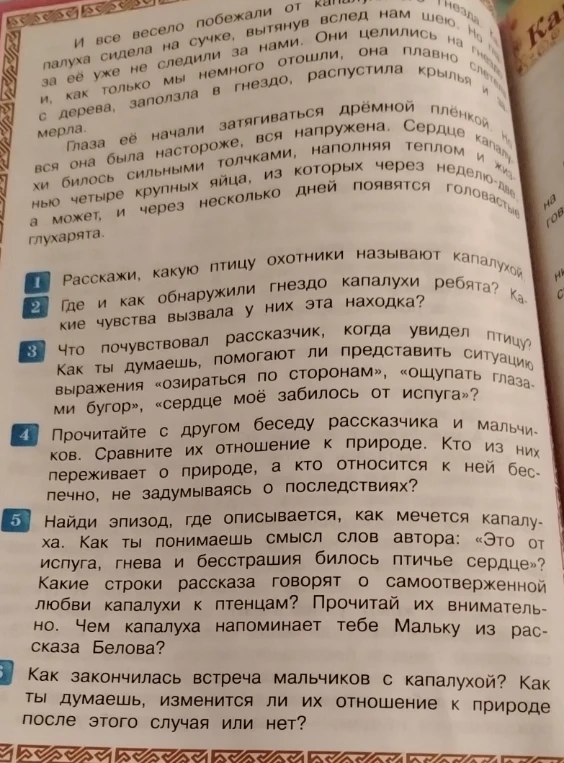 Расскажи, какую птицу охотники называют капалухой