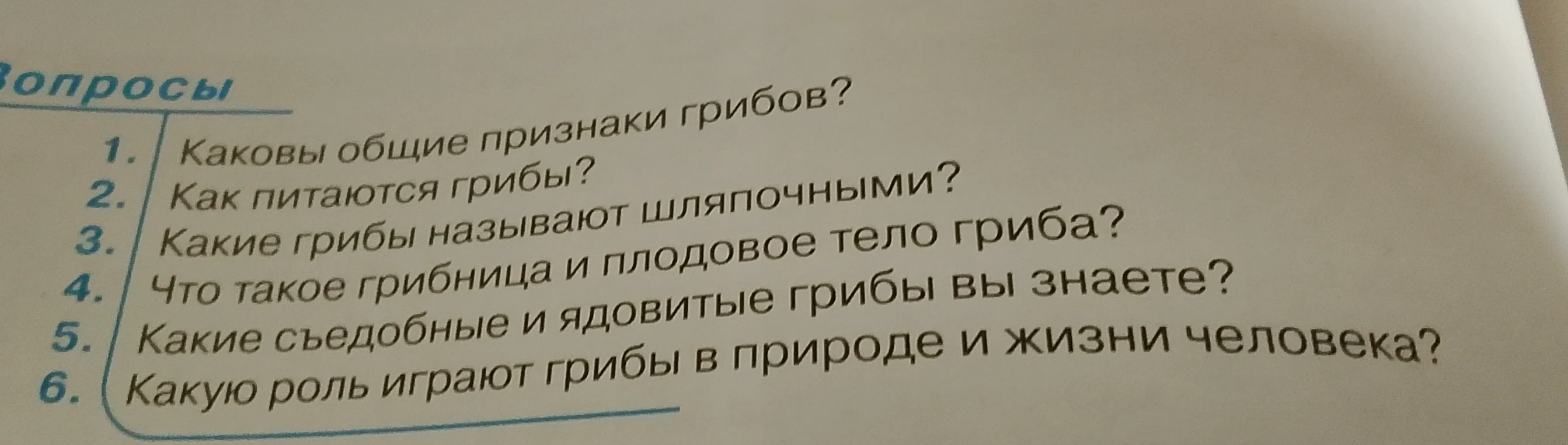 Каковы общие признаки грибов?