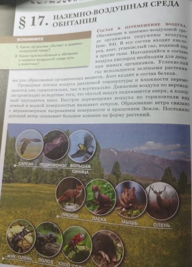 Сделай конспект параграфа 17 Наземно-воздушная среда обитания