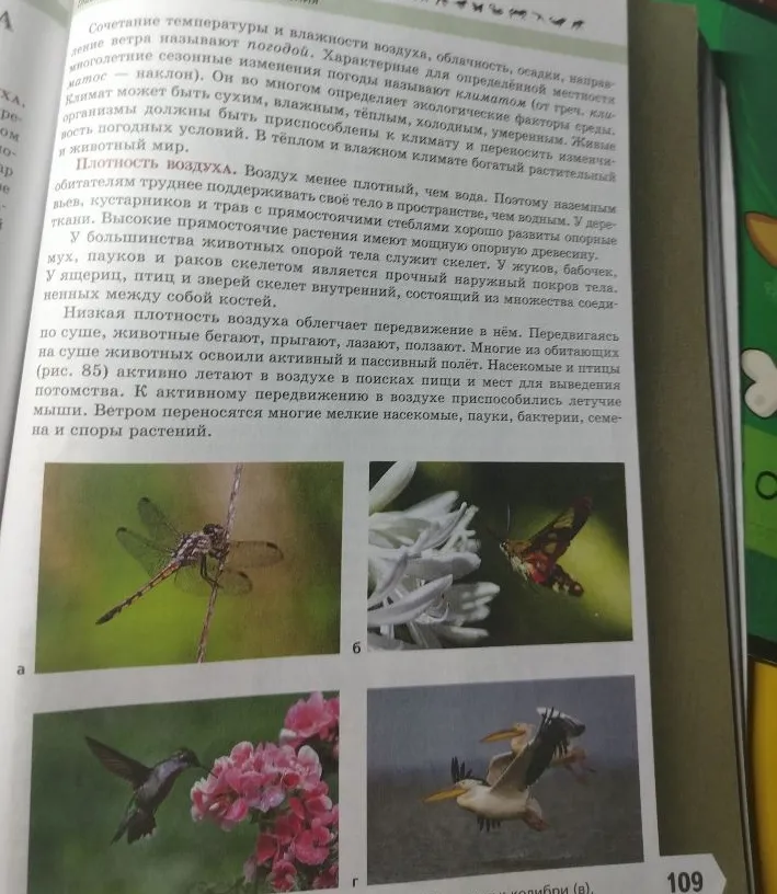 Сделай конспект параграфа 17 Наземно-воздушная среда обитания