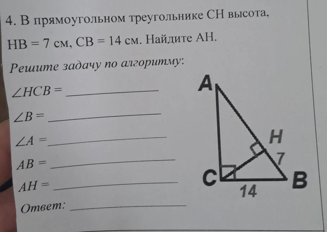 В прямоугольном треугольнике CH высота, HB = 7 см, CB = 14 см. Найдите AH.