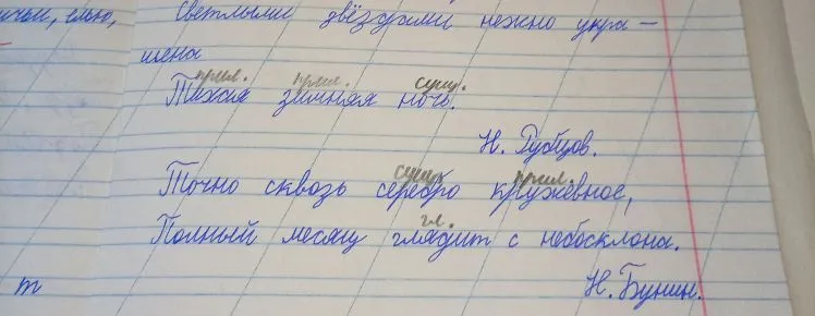 Подчеркнуть грамматические основы в предложениях: 'Тихая зимняя ночь' и 'Полный месяц глядит с небосклона'.