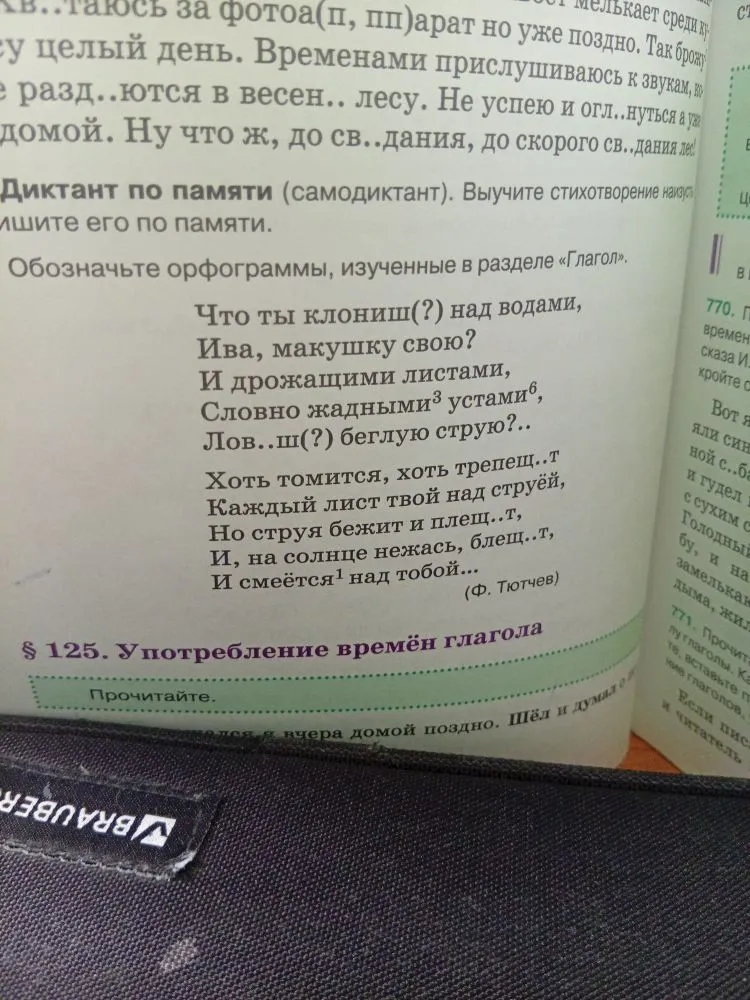 Выполните разборы под цифрами: жадными (3), устами (6), смеётся (1).