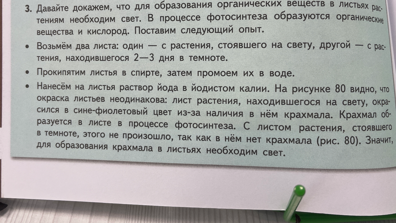 Давайте докажем, что для образования органических веществ в листьях растениям необходим свет.