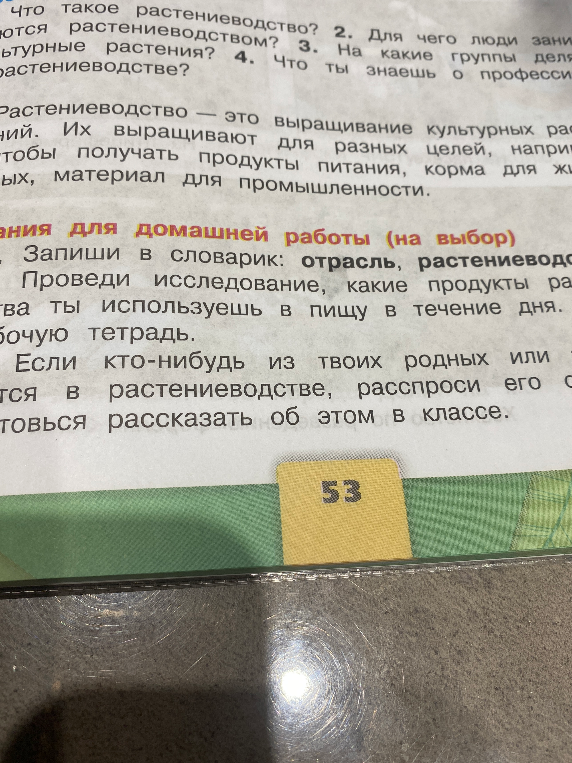 Что такое растениеводство? Запиши в словарик: отрасль, растениеводство.
