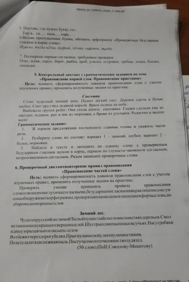 Выполните задания 5, 6, 7 и грамматическое задание к диктанту 'Снеговик'.