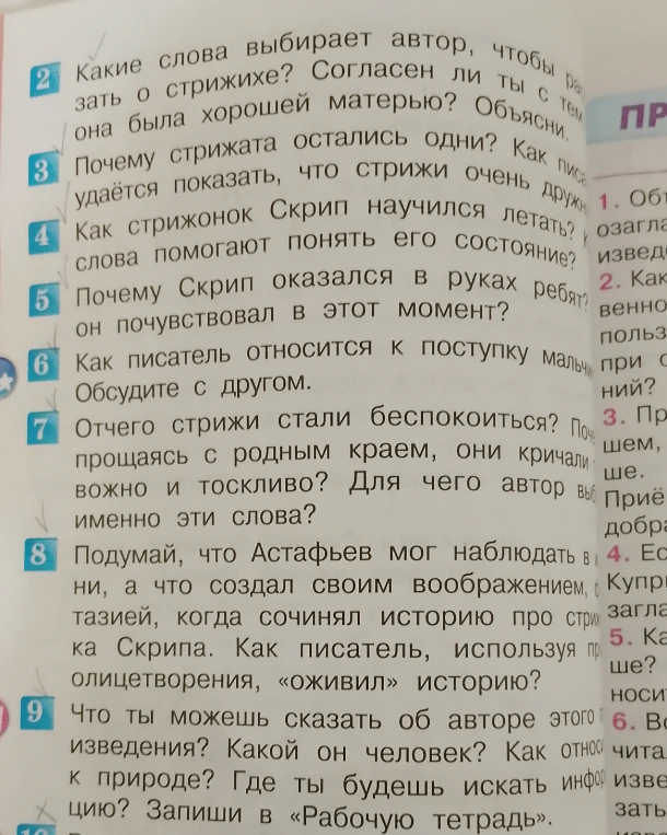 Какие слова выбирает автор, чтобы рассказать о стрижихе? Согласен ли ты с тем, что она была хорошей матерью? Объясни.