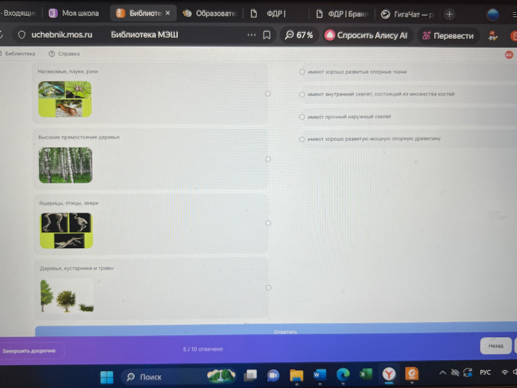 Сопоставьте группы организмов (Насекомые, пауки, раки; Высокие прямостоячие деревья; Ящерицы, птицы, звери; Деревья, кустарники и травы) с их особенностями строения.