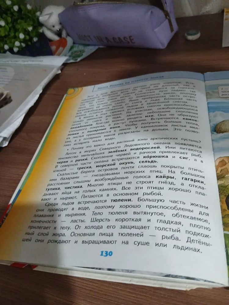 Краткий пересказ текста о природе арктических пустынь, растениях и животных Северного Ледовитого океана.