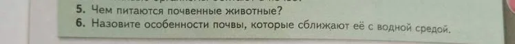 Чем питаются почвенные животные? Назовите особенности почвы, которые сближают её с водной средой.