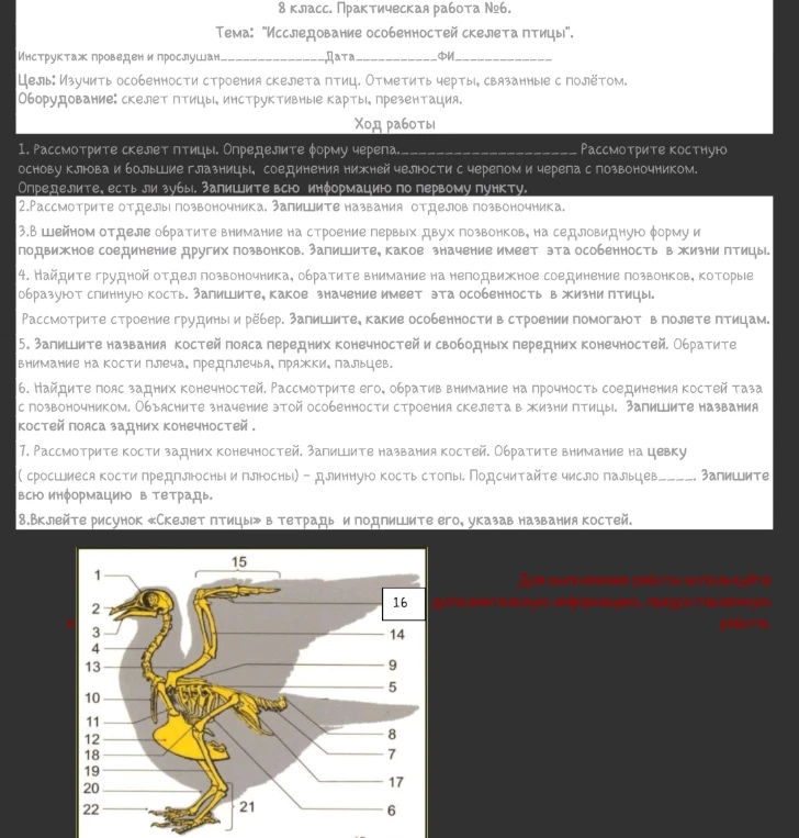Практическая работа №6. Тема: Исследование особенностей скелета птицы. Цель: Изучить особенности строения скелета птиц. Отметить черты, связанные с полётом.