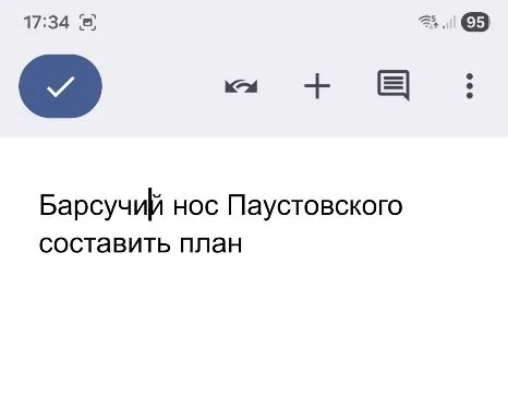 Барсучий нос Паустовского составить план