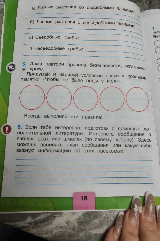 а) Лесные растения со съедобными плодами; б) Лесные растения с несъедобными плодами; в) Съедобные грибы; г) Несъедобные грибы