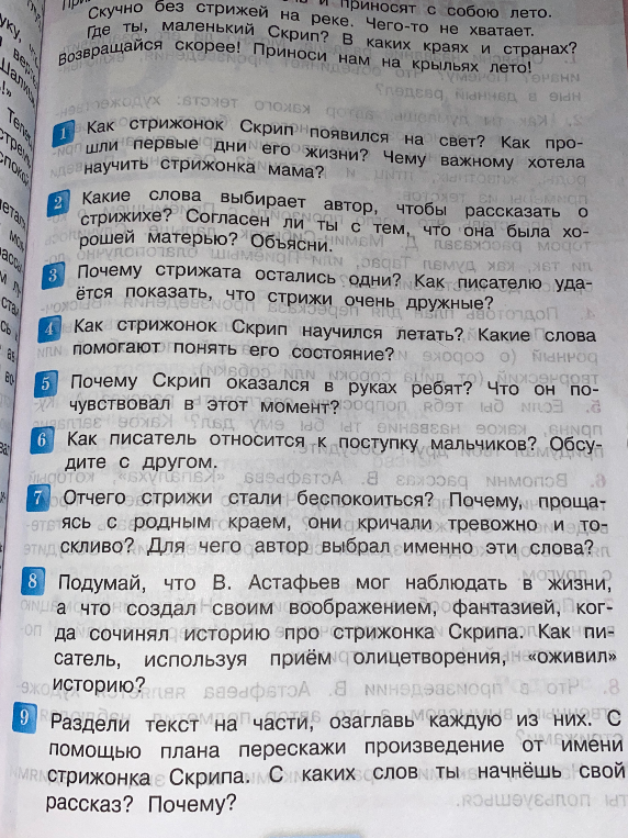 Ответьте на вопросы по рассказу В. Астафьева «Стрижонок Скрип» и составьте план текста.