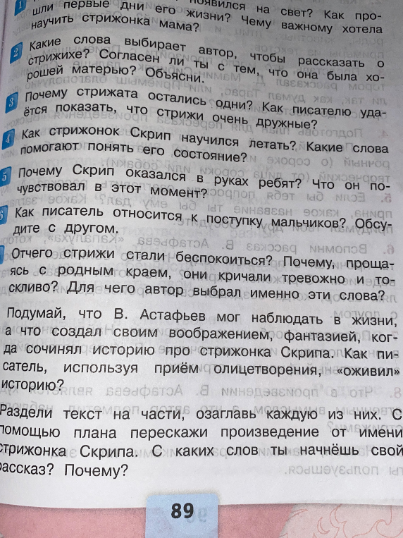 Вопросы к рассказу В. Астафьева «Стрижонок Скрип»