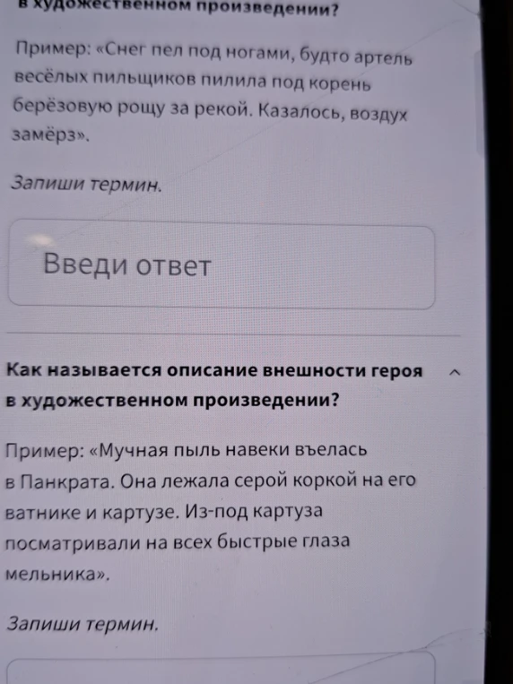 Как называется описание внешности героя в художественном произведении?