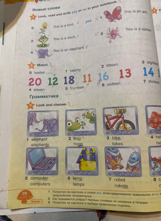 Выполни задания 1, 2, 3: напиши yes/no, соотнеси числа с названиями и выбери правильную форму существительного.