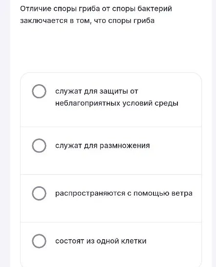 Отличие споры гриба от споры бактерий заключается в том, что споры гриба