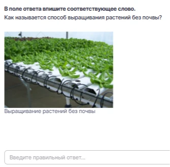 Как называется способ выращивания растений без почвы?