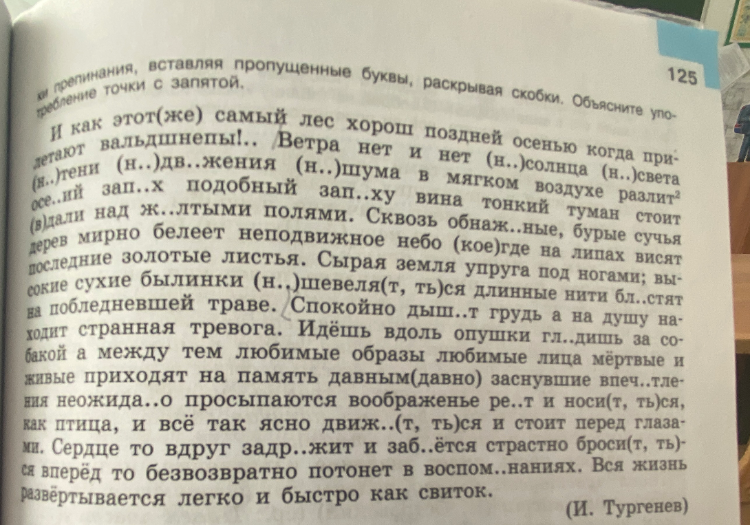 Перепишите текст, расставляя знаки препинания, вставляя пропущенные буквы, раскрывая скобки. Объясните употребление точки с запятой.