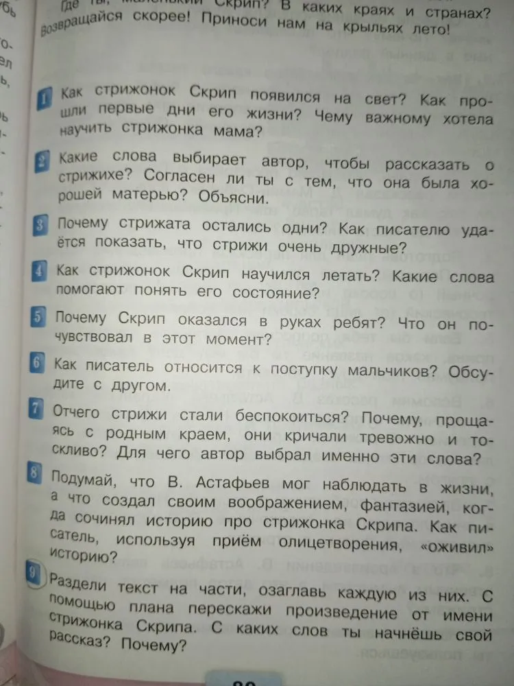 Как стрижонок Скрип появился на свет? Как прошли первые дни его жизни? Чему важному хотела научить стрижонка мама?