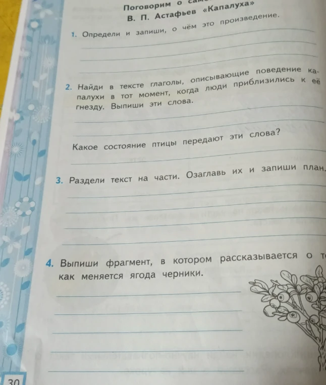 Определи и запиши, о чём это произведение. Найди в тексте глаголы, описывающие поведение капалухи в тот момент, когда люди приблизились к её гнезду. Раздели текст на части. Озаглавь их и запиши план. Выпиши фрагмент, в котором рассказывается о том, как меняется ягода черники.