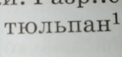 Выполните фонетический разбор слова «тюльпан»
