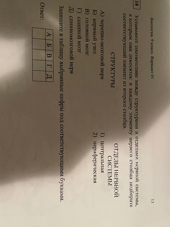 Установите соответствие между структурами и отделами нервной системы, к которым они относятся: к каждому элементу первого столбца подберите соответствующий элемент из второго столбца.